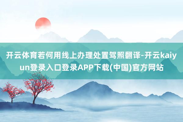 开云体育若何用线上办理处置驾照翻译-开云kaiyun登录入口登录APP下载(中国)官方网站