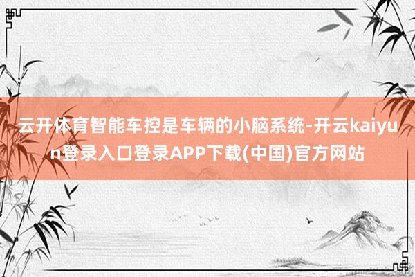 云开体育智能车控是车辆的小脑系统-开云kaiyun登录入口登录APP下载(中国)官方网站