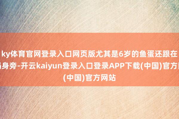 ky体育官网登录入口网页版尤其是6岁的鱼蛋还跟在姆妈身旁-开云kaiyun登录入口登录APP下载(中国)官方网站