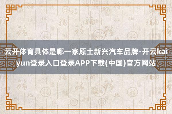 云开体育具体是哪一家原土新兴汽车品牌-开云kaiyun登录入口登录APP下载(中国)官方网站