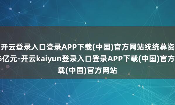 开云登录入口登录APP下载(中国)官方网站统统募资25.6亿元-开云kaiyun登录入口登录APP下载(中国)官方网站