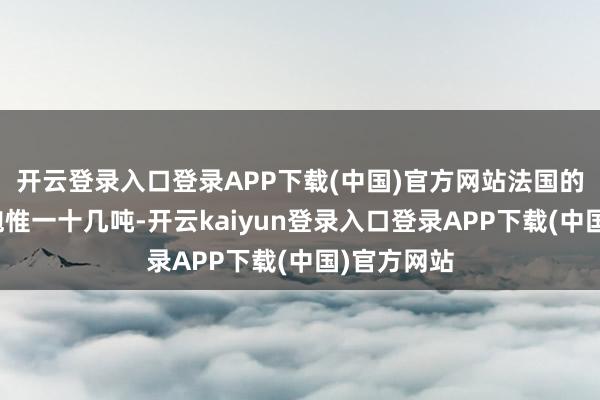 开云登录入口登录APP下载(中国)官方网站法国的轮式突击炮惟一十几吨-开云kaiyun登录入口登录APP下载(中国)官方网站