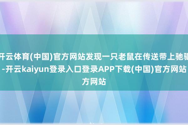 开云体育(中国)官方网站发现一只老鼠在传送带上驰驱-开云kaiyun登录入口登录APP下载(中国)官方网站
