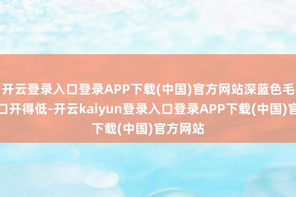 开云登录入口登录APP下载(中国)官方网站深蓝色毛衣的领口开得低-开云kaiyun登录入口登录APP下载(中国)官方网站