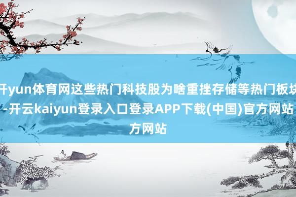 开yun体育网这些热门科技股为啥重挫存储等热门板块-开云kaiyun登录入口登录APP下载(中国)官方网站