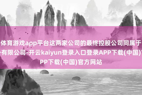 体育游戏app平台这两家公司的最终控股公司同属于史带国外有限公司-开云kaiyun登录入口登录APP下载(中国)官方网站