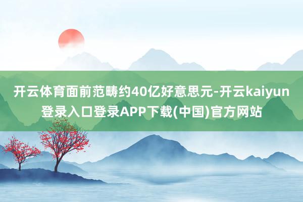 开云体育面前范畴约40亿好意思元-开云kaiyun登录入口登录APP下载(中国)官方网站